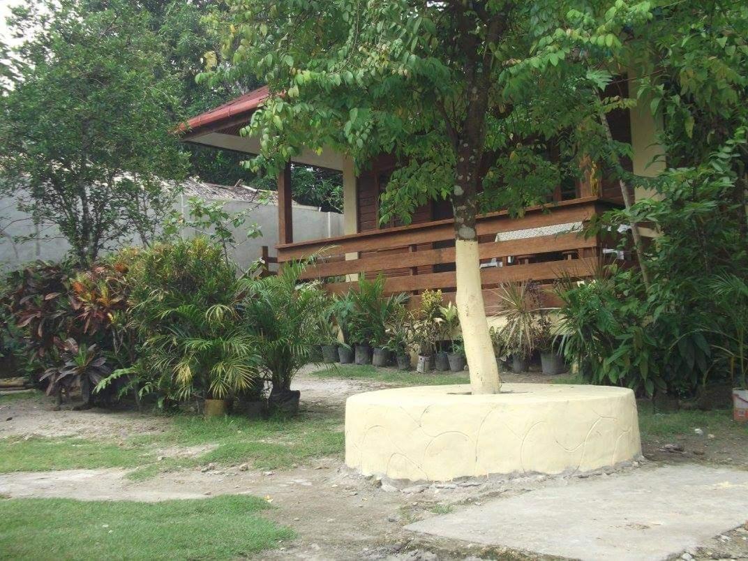 Nellie'S Tourist Inn- Port Barton San Vicente  Bagian luar foto